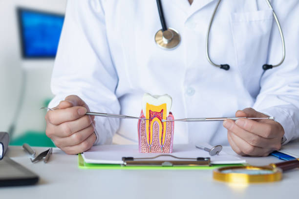 Best Weekend Emergency Dentist in Harmony, PA